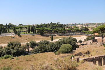 Fototapeta na wymiar View to Circus Maximus from Palatine in Rome, Italy