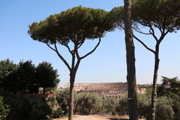 Fototapeta na wymiar View from Palatine Hill to the Colosseum or Coliseum in Rome, Italy 