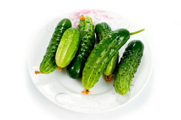 Green cucumbers bright and juicy shot on a white background