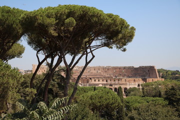 View to the Colosseum  from Palatine Hill in Rome, Italy 
