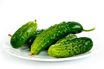 Green cucumbers bright and juicy shot on a white background