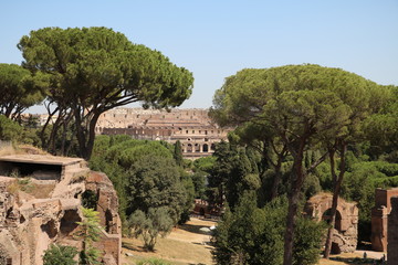 Fototapeta na wymiar Palatine Hill and Colosseum in Rome, Italy 