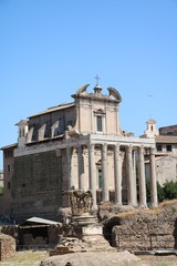 Fototapeta na wymiar Temple of Antoninus Pius and Faustina in Forum Romanum, Rome Italy