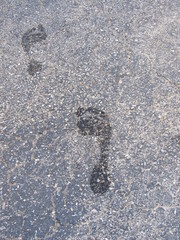 A wet footprint outside on the concrete 