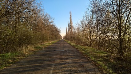 Дорога