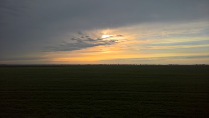 Рассвет в поле