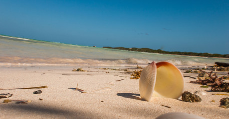 Beach at Cayo Coco, Cuba