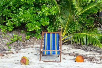 Abandoned lounger on the tropical sand beach. Empty camp bed on beach, green tropical plants at background. - obrazy, fototapety, plakaty