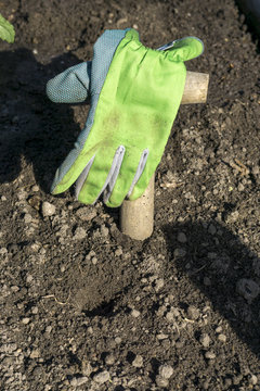 T-handled dibber with glove