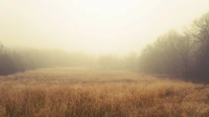 Foto op Plexiglas A sleepy, foggy, grassy meadow in eastern Iowa © Jesse
