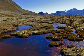 Beautiful view of bofedales with native vegetation in the Huaytapallana mountain range.