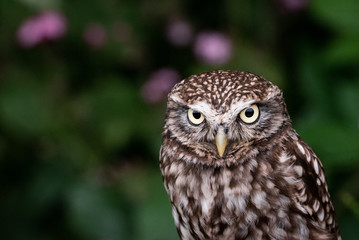 I know what you did...