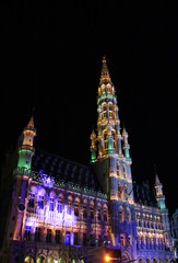 Fototapeta na wymiar Night scene of belgium architecture with light in Brussels.