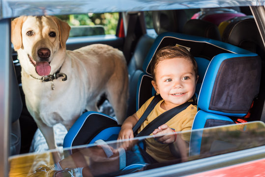 smiling adorable toddler boy in safety seat with labrador dog on backseat