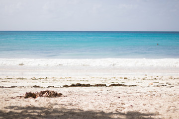 Horizontal lines: sandy wild beach, sea wave with white foam, beautiful azure sea and blue sky. 