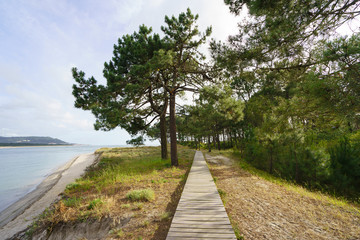 The coast of the river Minya (Northern Spain) at the sunny day
