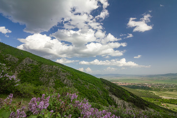 Lilacs blossom in front of medieval fortress called Anevo Kale in Stara Planina mountain near Sopot, Bulgaria, horizontal landscape taken at evening towards the town