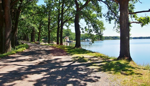 A hiking and bicycle trail under the trees along the Dvoriste pond near Trebon city in South Bohemia, Czech Republic. Sun is shining on hiking trail under the trees.