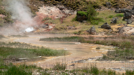 Steaming Geyser and Stream
