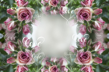 Pink roses. Flowers. Use printed materials, signs, items, websites, maps, posters, postcards, packaging. Postcard with the word - love.