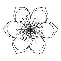 blossom flower icon