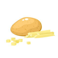 Bright vector illustration of colorful potato isolated on white