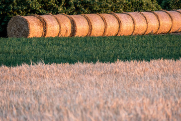 Strohrollen am Abend