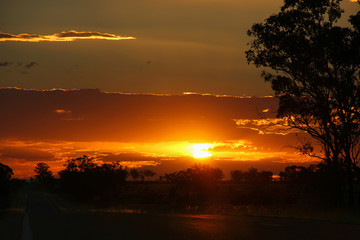 Splendid orange sunset with clouds and silhouettes of trees by empty road in Queensland, Outback...