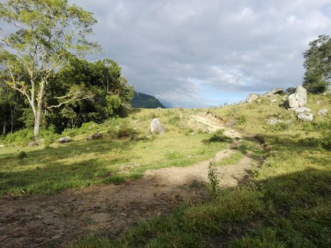 cielo