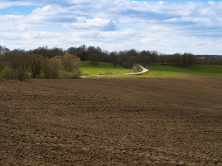 Plowed fields. Agricultural land is being prepared for the sowing season. Smooth furrows of the...