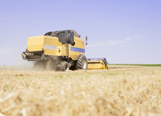 Combine harvester working on a wheat crop