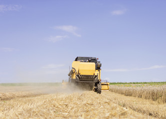 Combine harvester working on a wheat crop