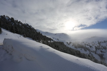 Fototapeta premium the top of the mountains with forest covered with snow, fog and clouds on a sunny frosty day