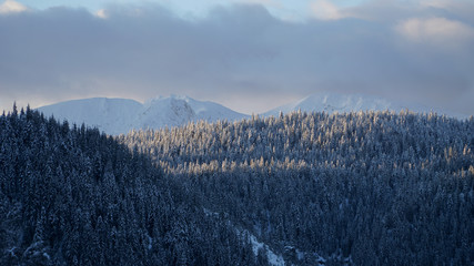 Snowy landscapes in Bogë, Kosovo. 