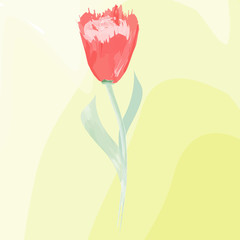 Imitation of watercolor painting. red Tulip on yellow background