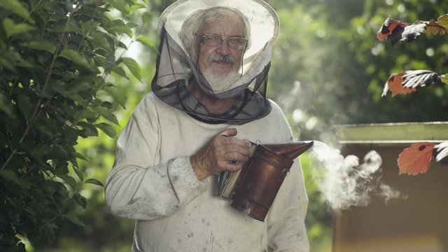 Beekeeper with steaming bee smoker in the bee-garden