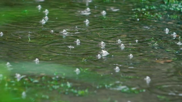 180 fps Slow motion: Air Bubbles splash and pop on water from Thunderstorm