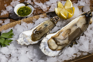 Tasty oysters on ice with lemon
