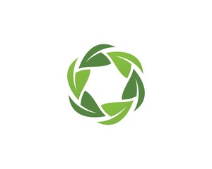  green leaf ecology nature element