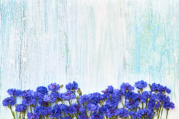 Blue Cornflower border on blue background. Top view, copy space. Summer background
