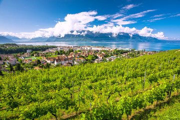 Fototapeta na wymiar Panorama view of Montreux city with Swiss Alps, lake Geneva and vineyard on Lavaux region, Canton Vaud, Switzerland, Europe
