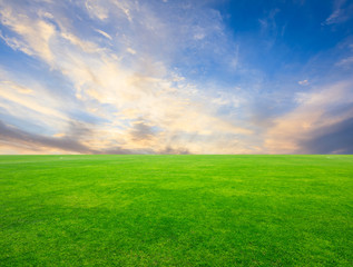 Green football field and sky clouds at sunrise