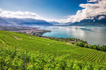 Naklejka premium Panorama view of Montreux city with Swiss Alps, lake Geneva and vineyard on Lavaux region, Canton Vaud, Switzerland, Europe