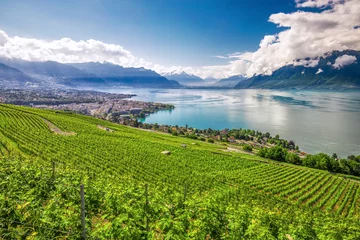 Foto op Plexiglas Panorama view of Montreux city with Swiss Alps, lake Geneva and vineyard on Lavaux region, Canton Vaud, Switzerland, Europe © Eva Bocek