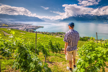 Obraz premium Panorama view of Montreux city with Swiss Alps, lake Geneva and vineyard on Lavaux region, Canton Vaud, Switzerland, Europe