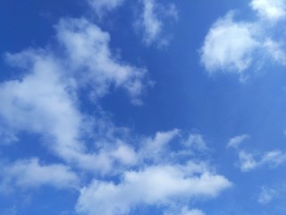 Fototapeta premium 爽やかな夏空