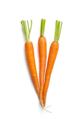 Three fresh young carrots with a cut tops isolated on white background..