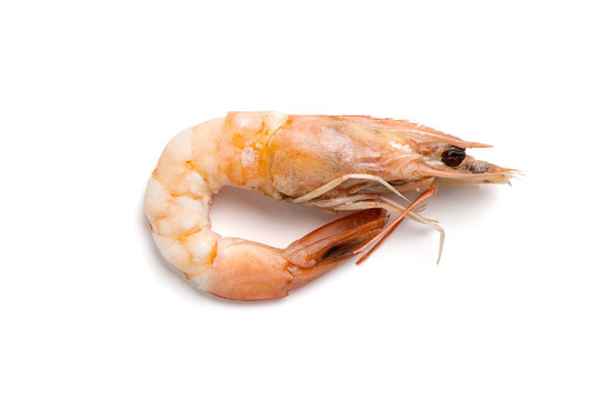 Whole boiled shrimp close-up. Isolated on white background..