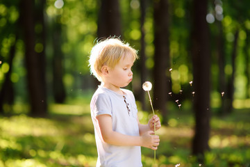 Charming blonde little boy playing with dandelion flower on summer day