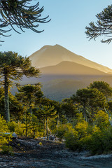 Volc&aacute;n Llaima, Conguillio